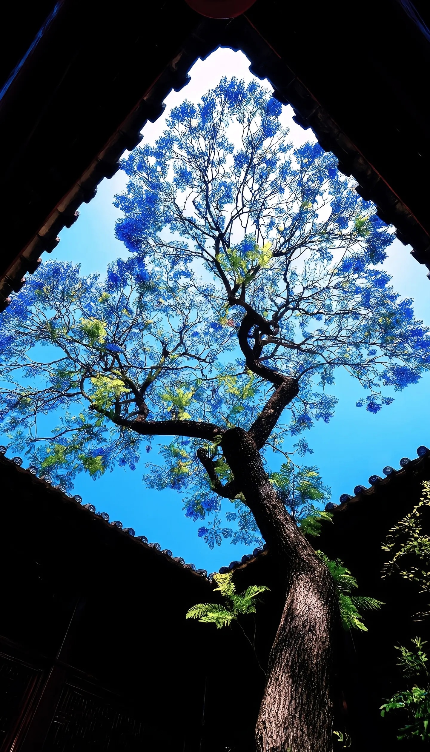 这是素材演示（展示）