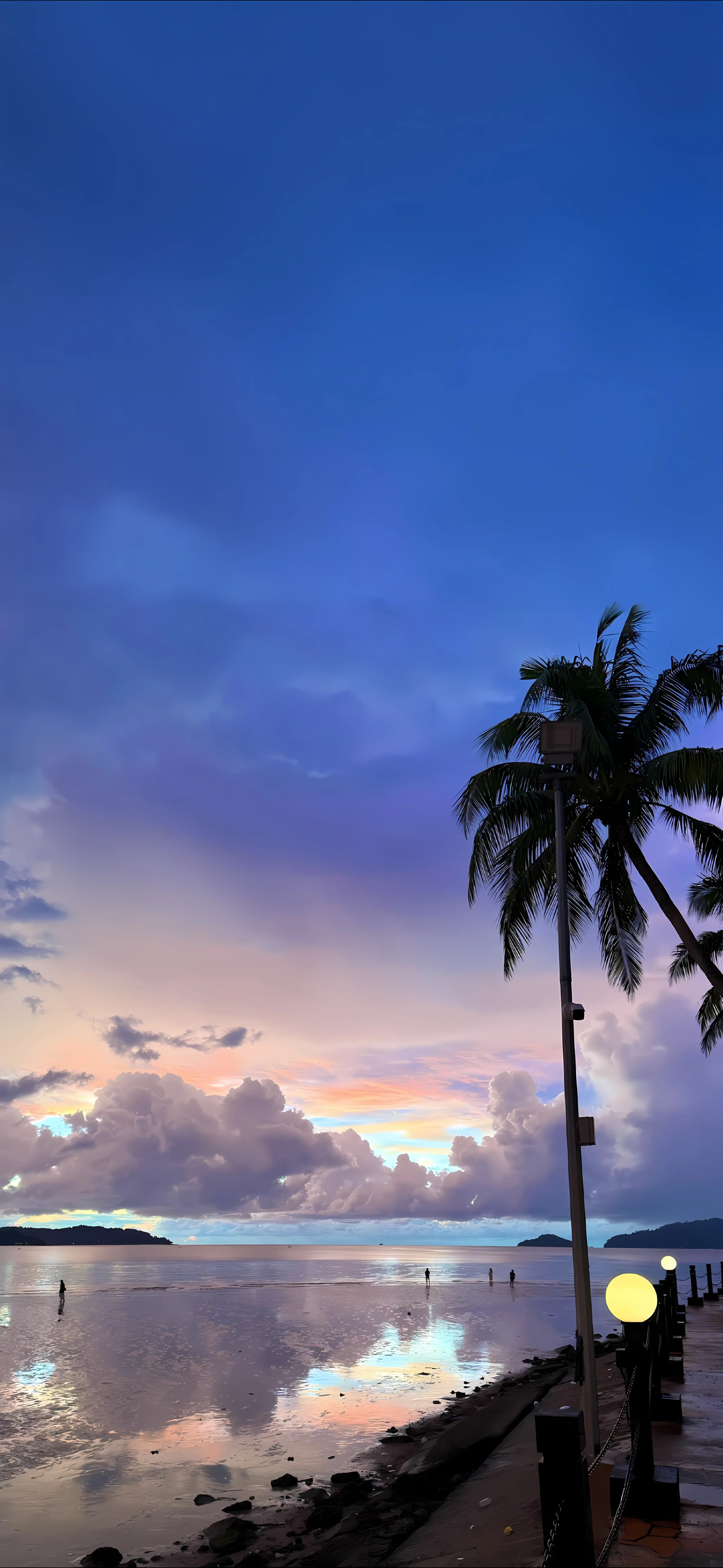 这是素材演示（展示）